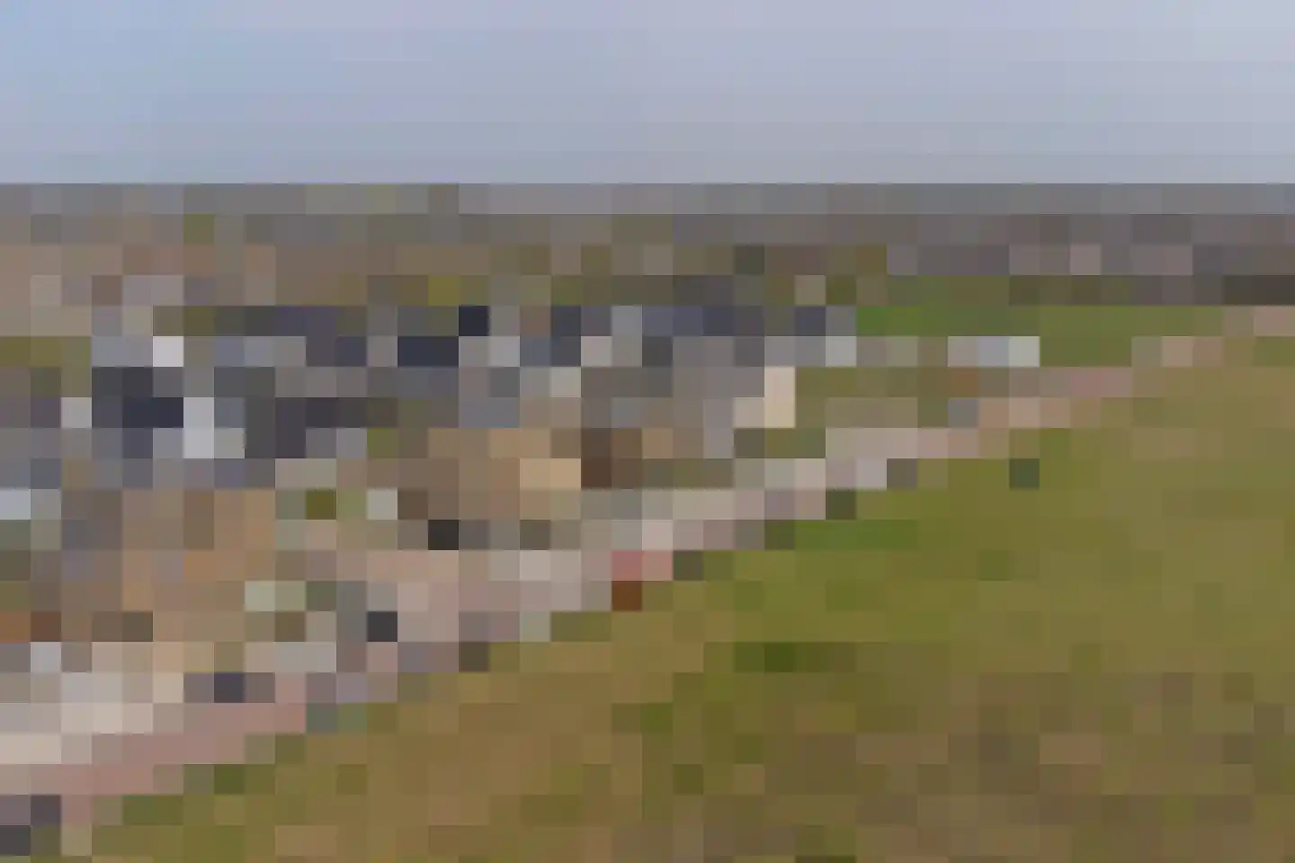 Atalantalaan 279 Middelburg thumbnail 41