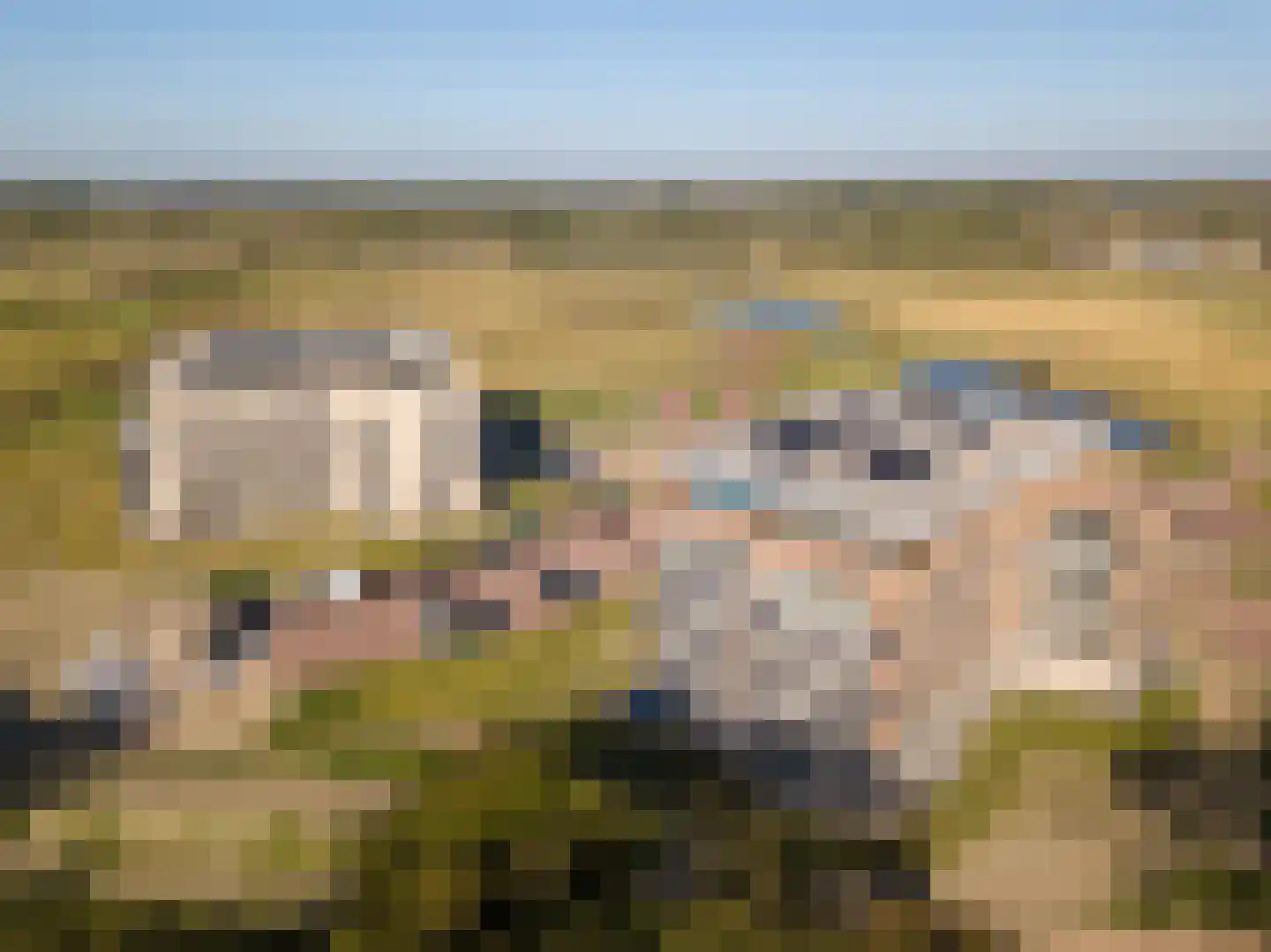 Atalantalaan 29 Middelburg thumbnail 11
