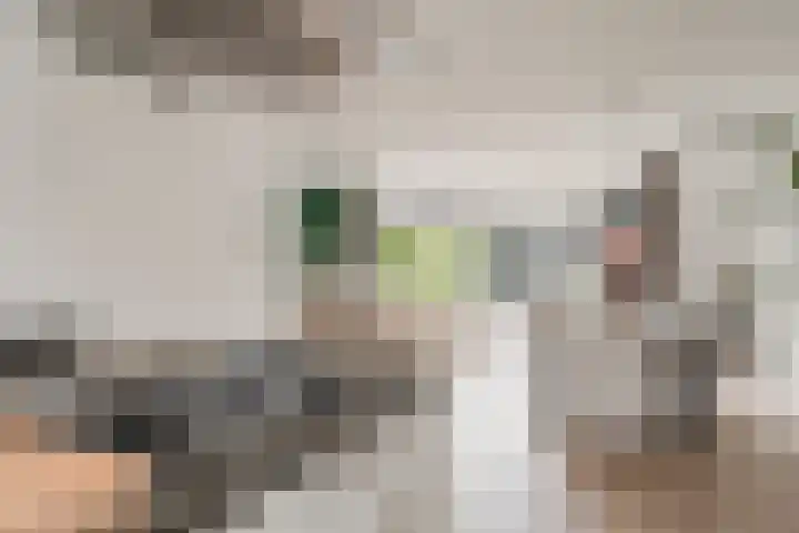Atalantalaan 38 Aalsmeer thumbnail 18