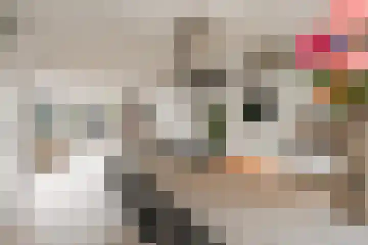 Atalantalaan 38 Aalsmeer thumbnail 19