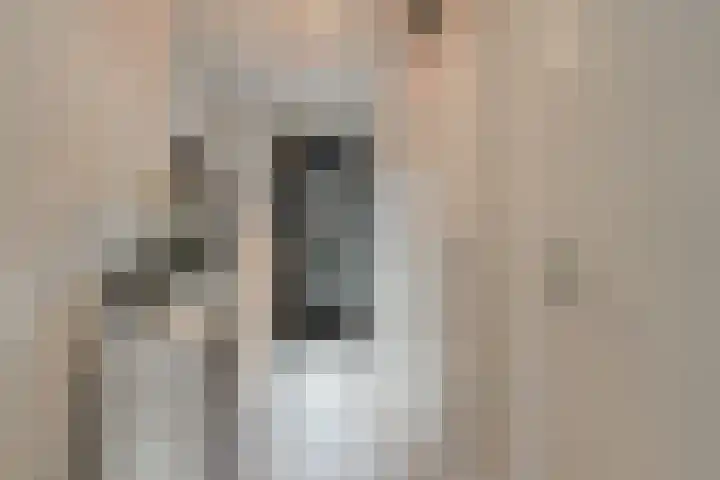 Atalantalaan 38 Aalsmeer thumbnail 20