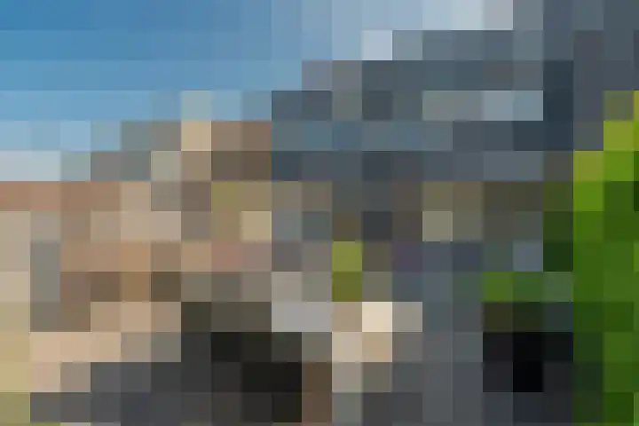 Atalantalaan 38 Aalsmeer thumbnail 39