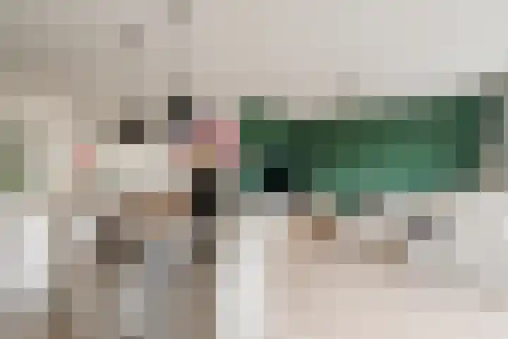 Atalantalaan 38 Aalsmeer thumbnail 6