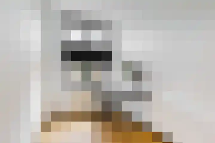 Atalantalaan 56 Aalsmeer thumbnail 11