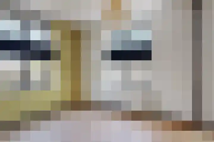 Atalantalaan 56 Aalsmeer thumbnail 13