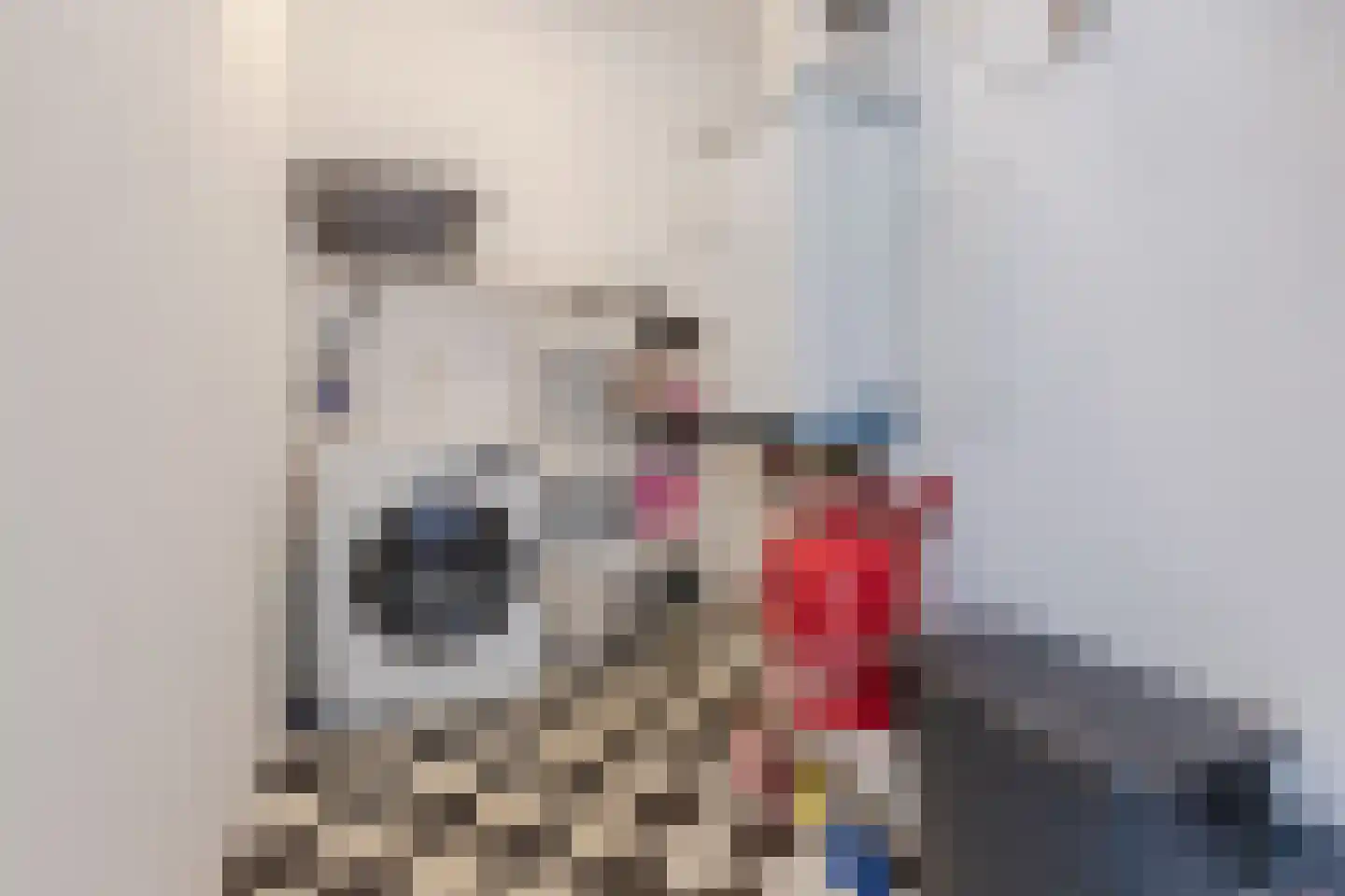 Atalantalaan 61 Aalsmeer thumbnail 19