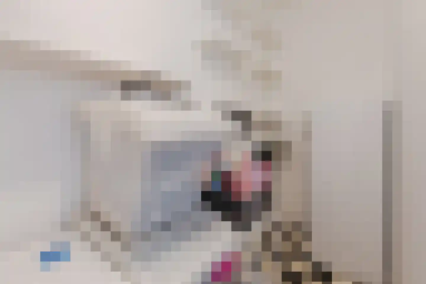 Atalantalaan 61 Aalsmeer thumbnail 20