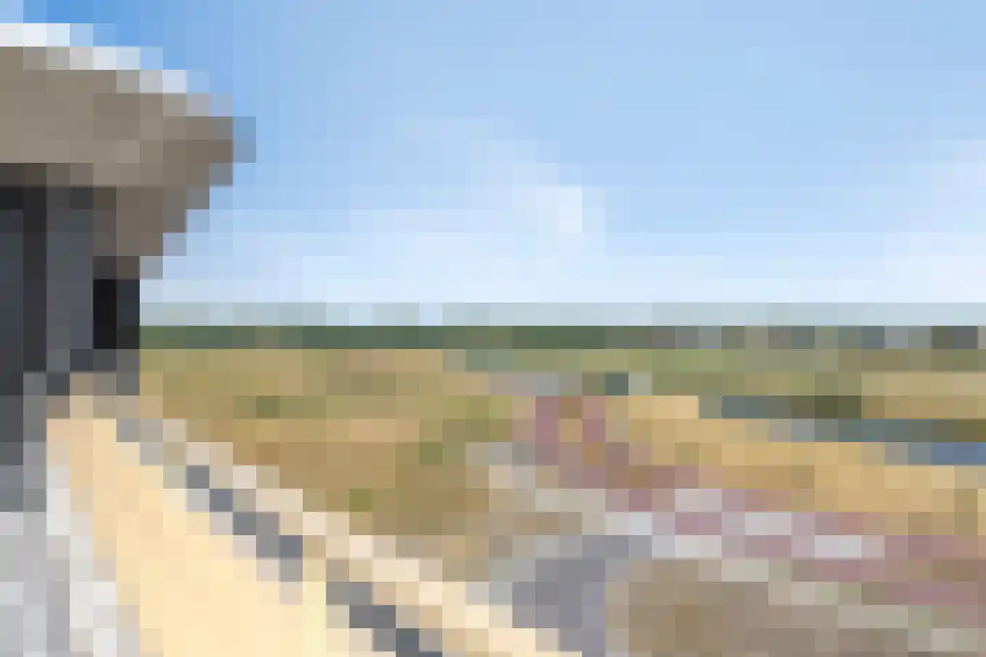 Atalantalaan 61 Middelburg thumbnail 26
