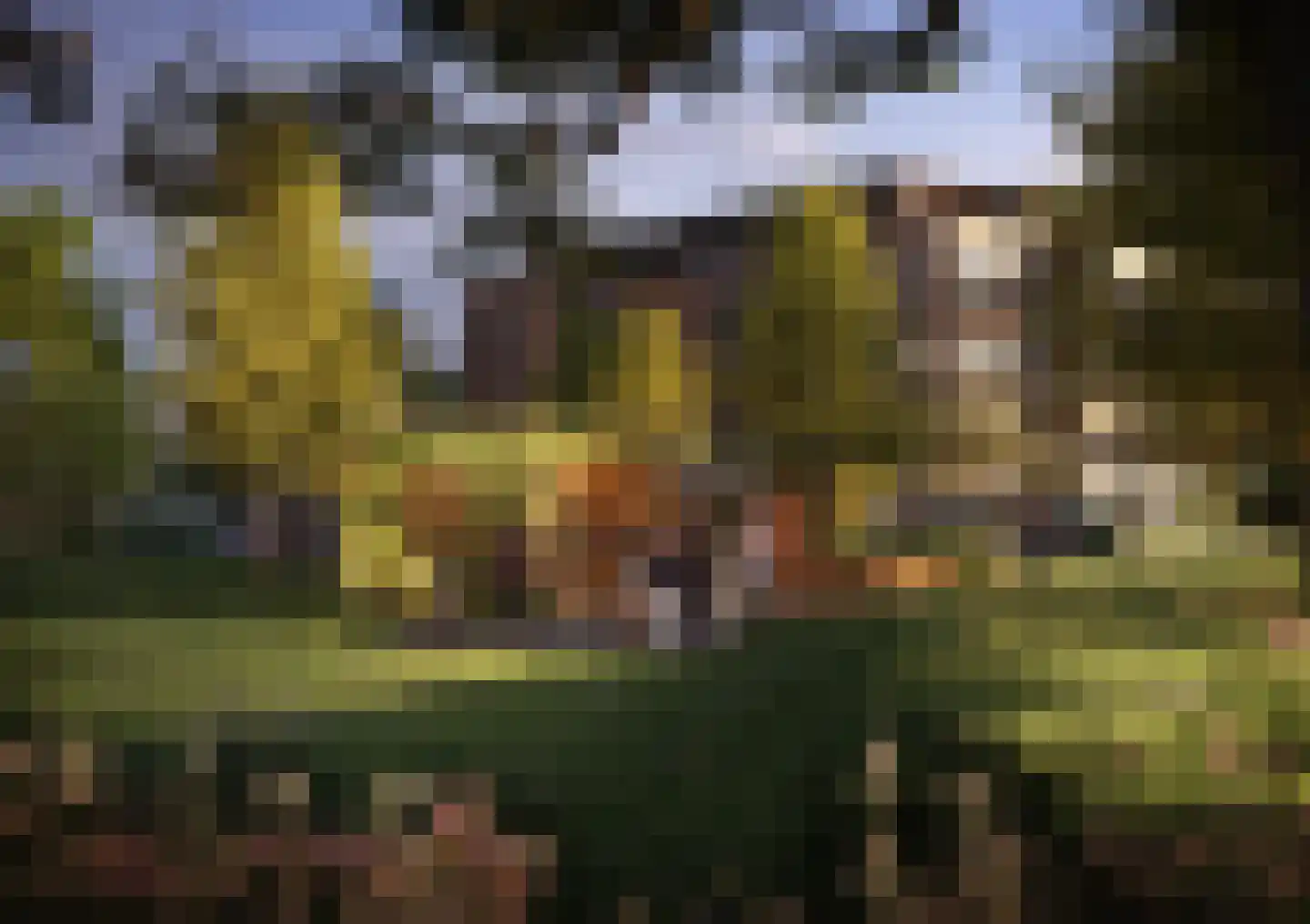 Atalantalaan 61 Middelburg thumbnail 7