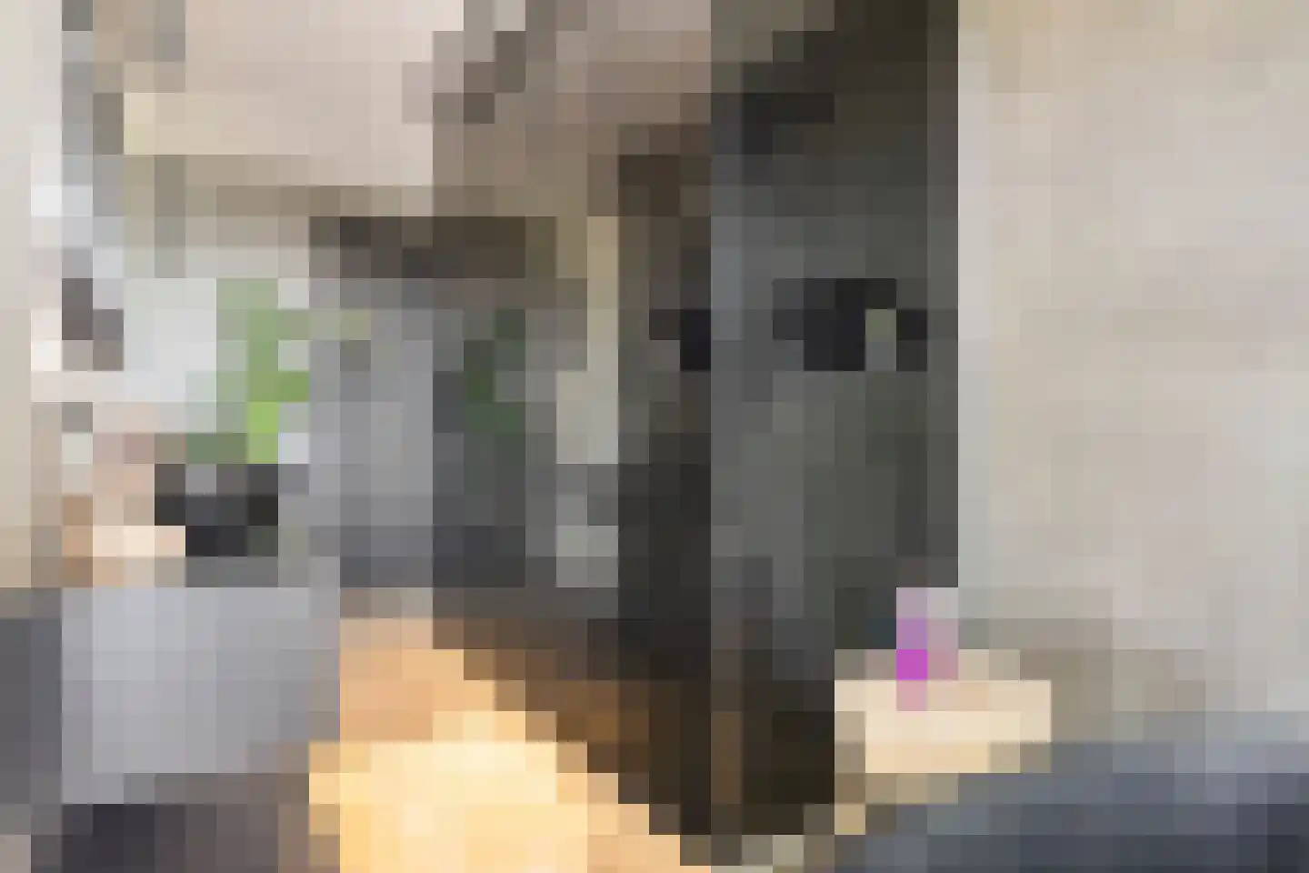 Atalantalaan 63 Middelburg thumbnail 42