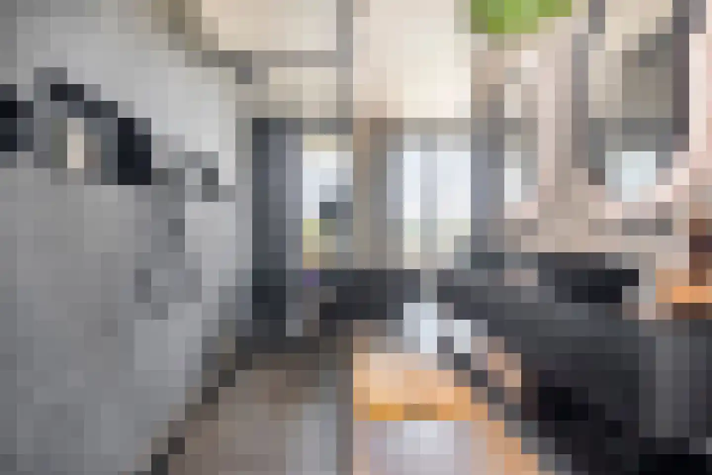 Atalantalaan 63 Middelburg thumbnail 43