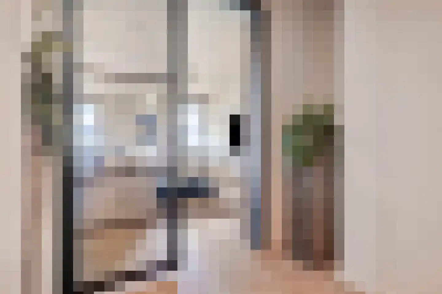 Atalantalaan 63 Middelburg thumbnail 8