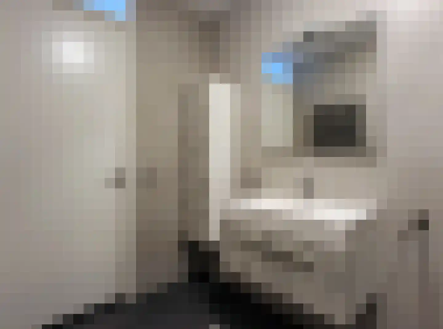 Atalantalaan 71 Aalsmeer thumbnail 17