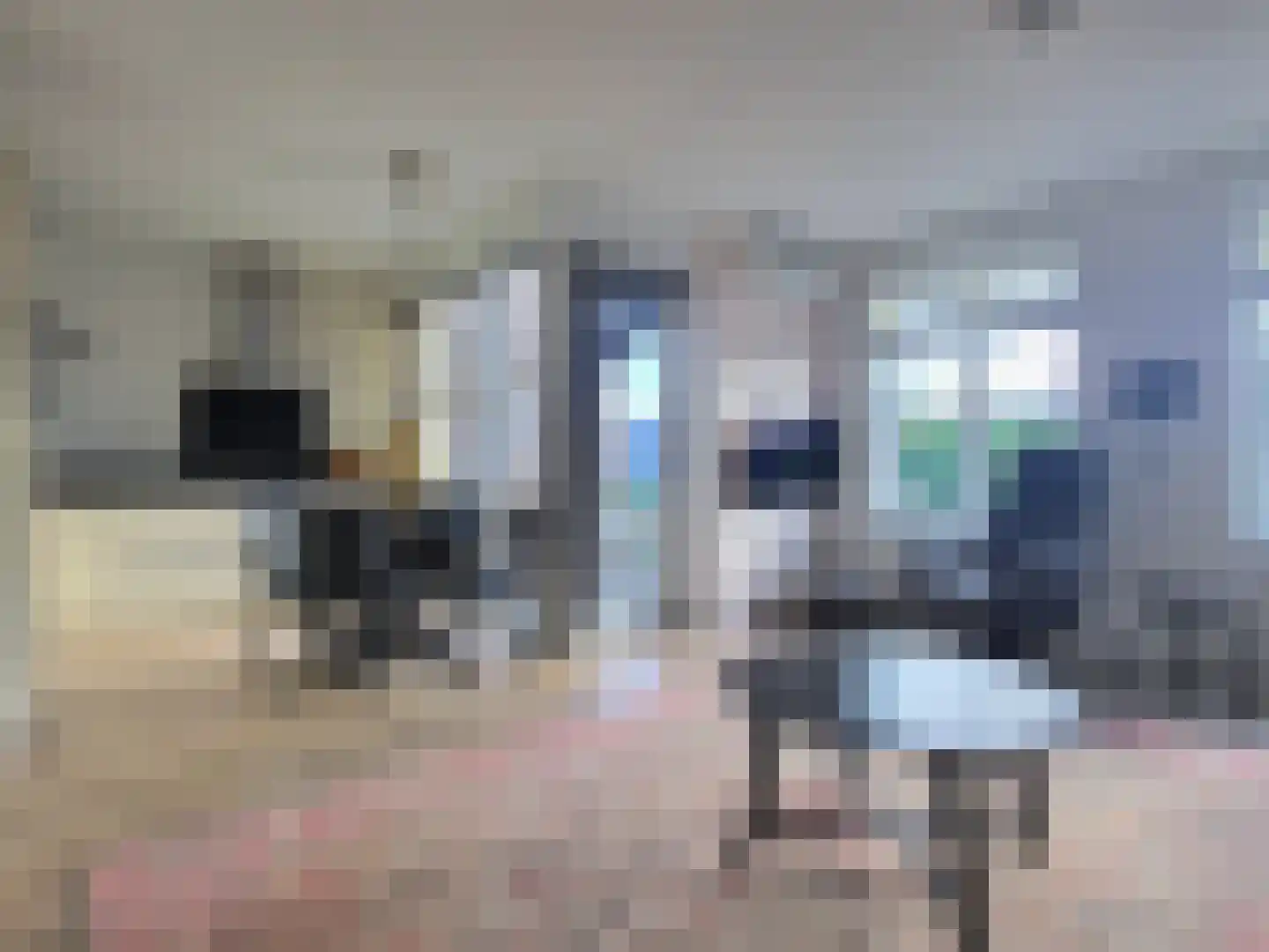 Atalantalaan 71 Aalsmeer thumbnail 8