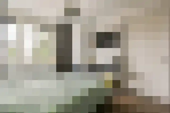 Atalantalaan 73 Aalsmeer thumbnail 15