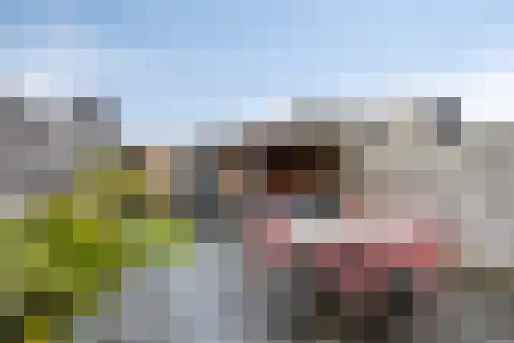Atalantapark 10 Veenendaal thumbnail 28
