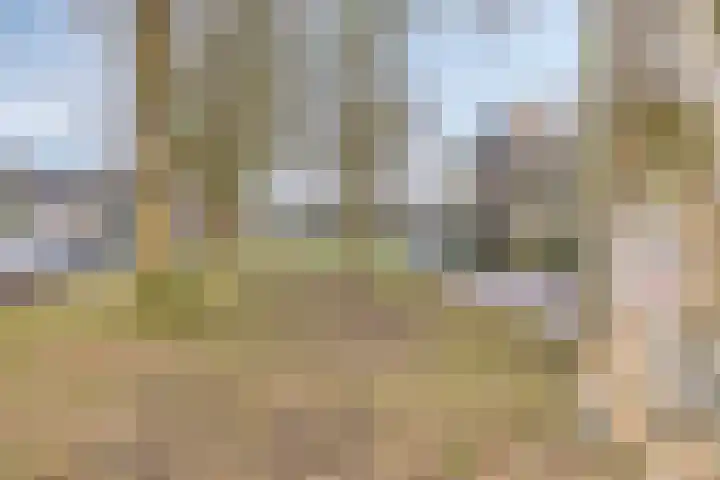 Atalantapark 10 Veenendaal thumbnail 37