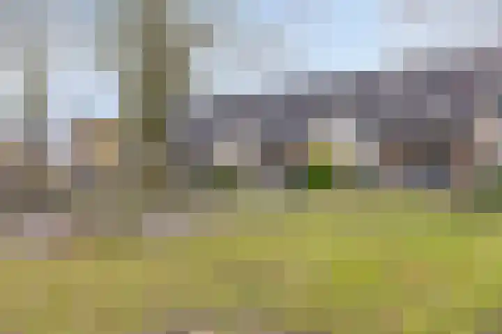 Atalantapark 10 Veenendaal thumbnail 38