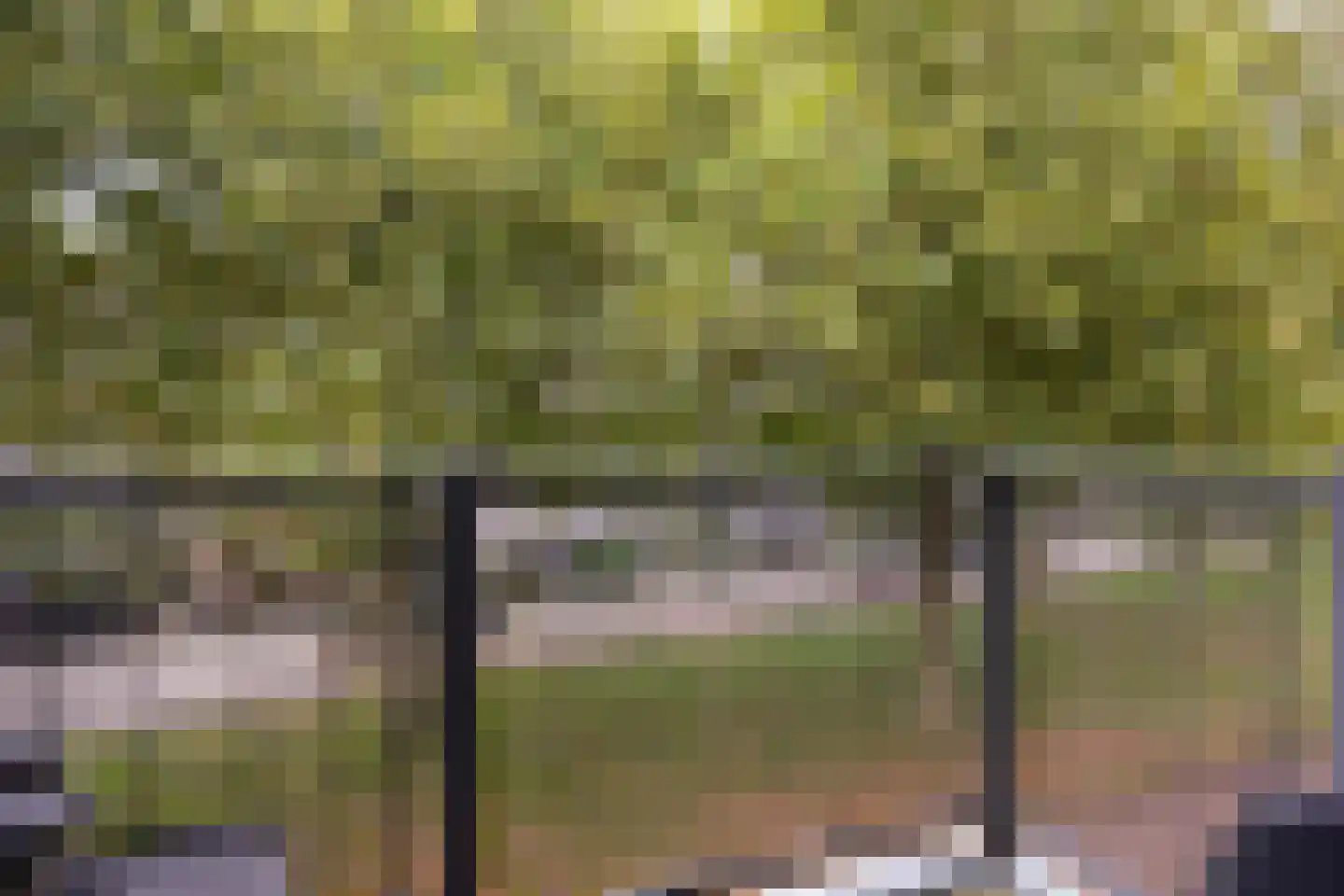 Atalantapark 21 Veenendaal thumbnail 16