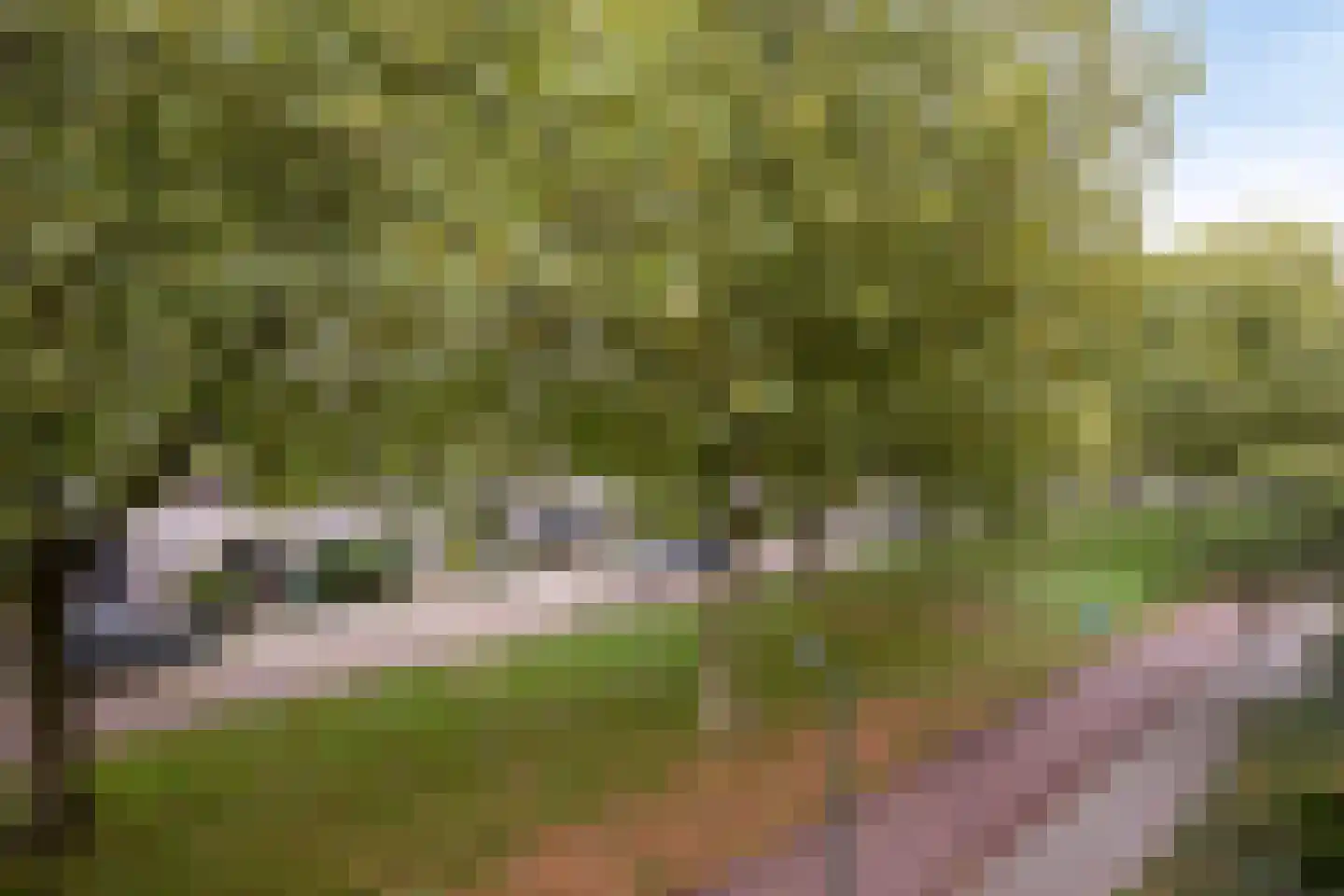 Atalantapark 21 Veenendaal thumbnail 23
