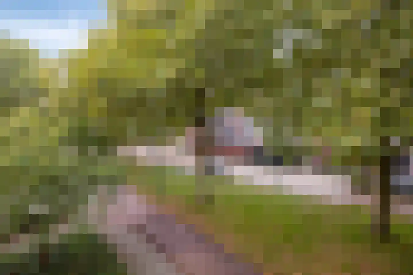 Atalantapark 21 Veenendaal thumbnail 24