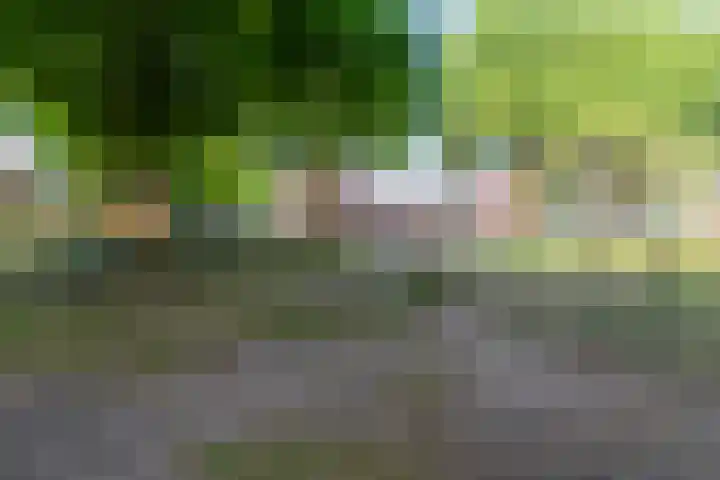 Atalantapark 27 Veenendaal thumbnail 27