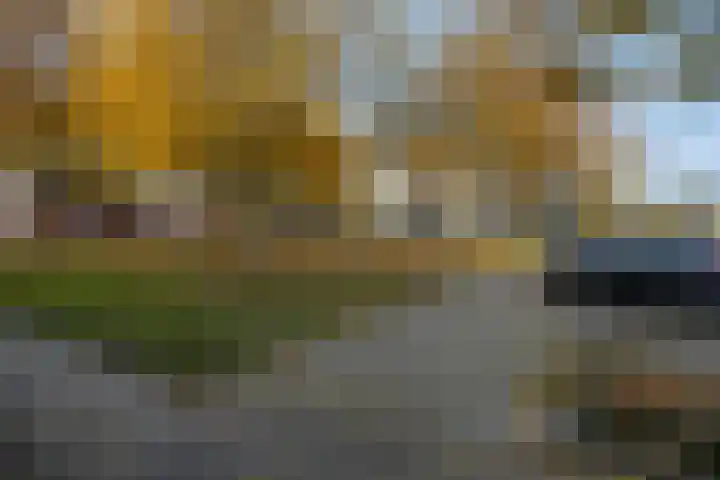 Atalantapark 31 Veenendaal thumbnail 37