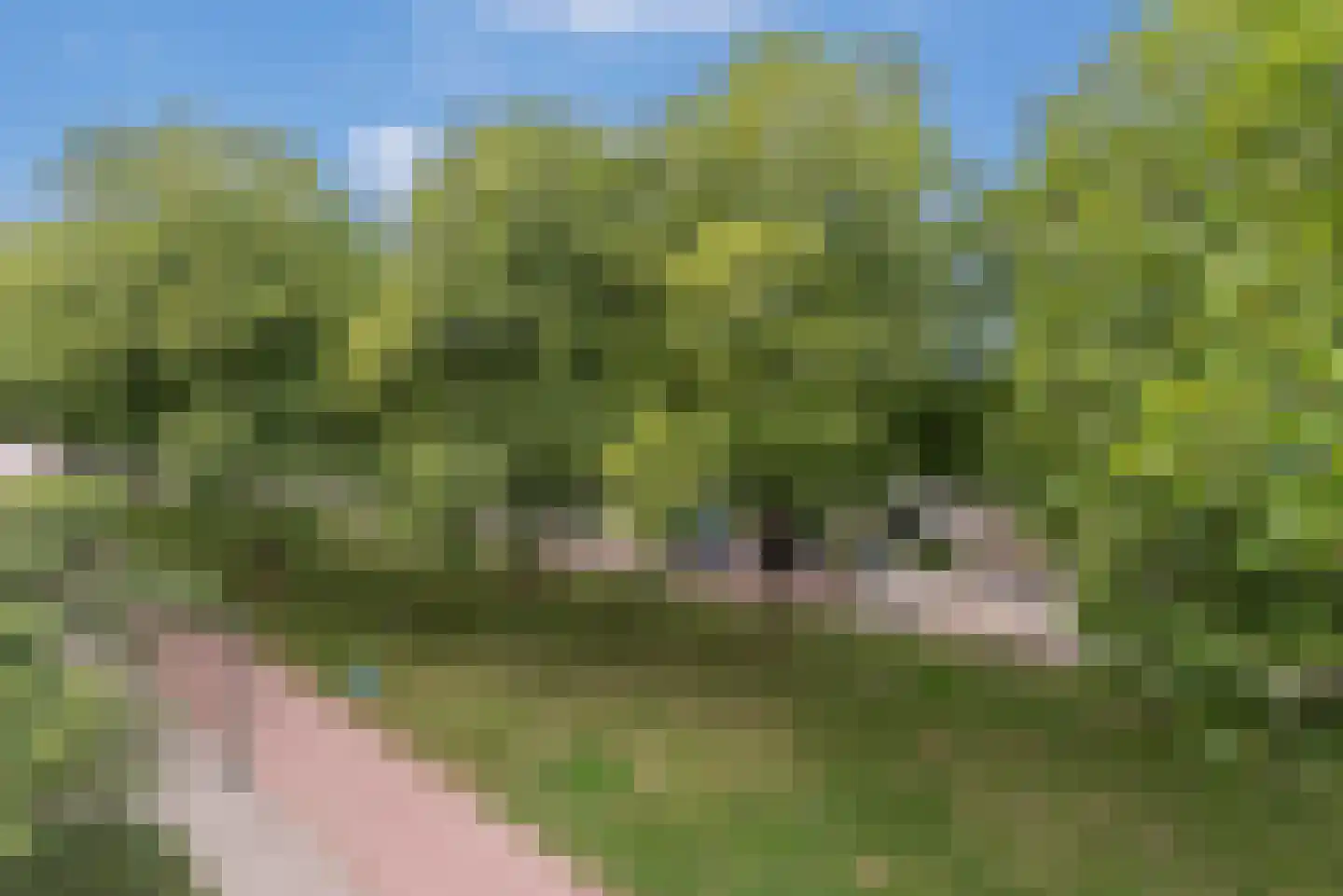 Atalantapark 85 Veenendaal thumbnail 12