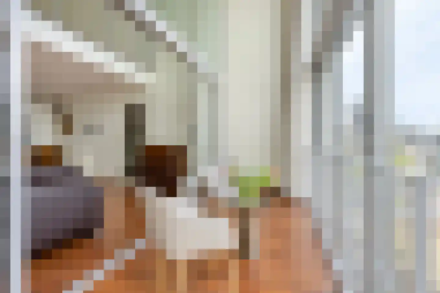 Atalantastraat 15 Heerenveen thumbnail 5
