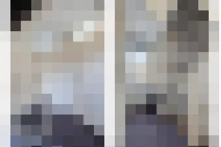 Atalantastraat 53 Oss thumbnail 15