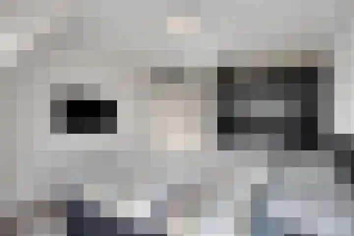 Atalantastraat 53 Oss thumbnail 18