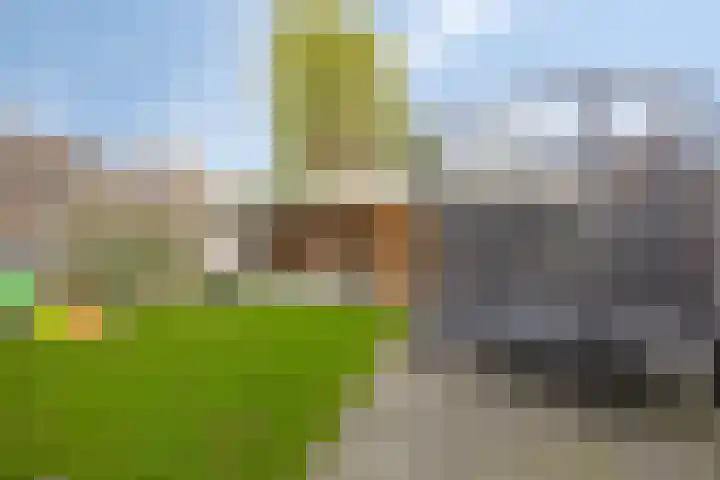 Atalantastraat 53 Oss thumbnail 26