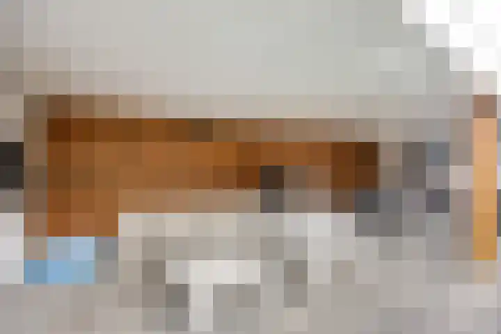 Atalantastraat 53 Oss thumbnail 28