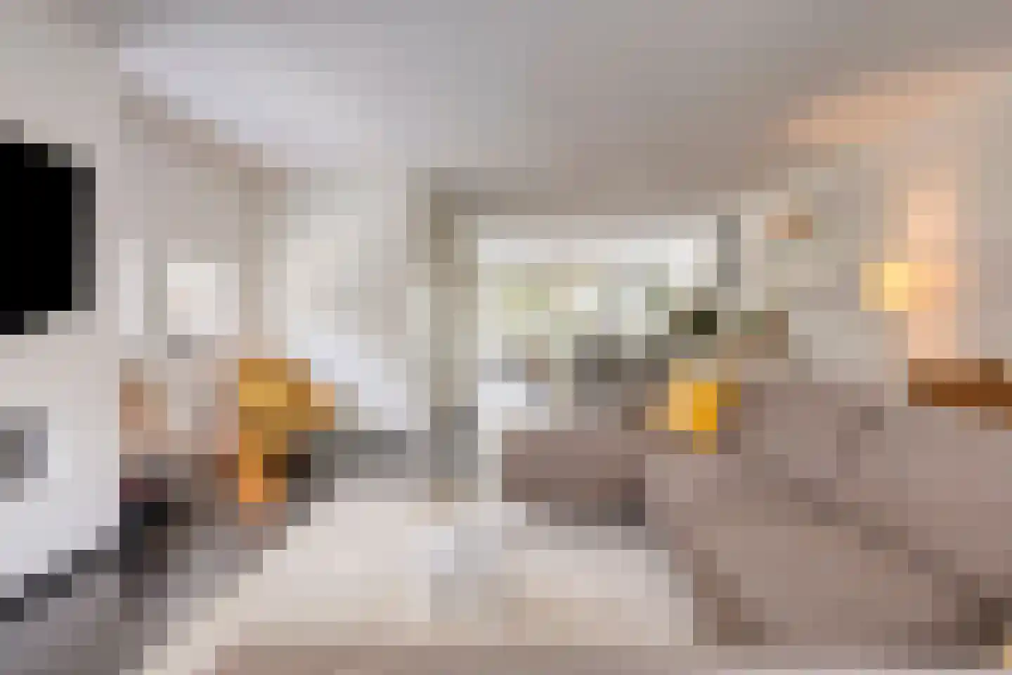 Atalantaweg 15 Rosmalen thumbnail 8