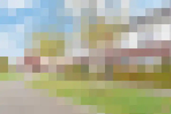 Atalantazoom 21 in Pijnacker