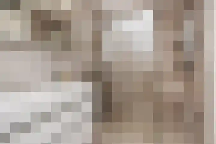 Atalantazoom 33 Pijnacker thumbnail 47