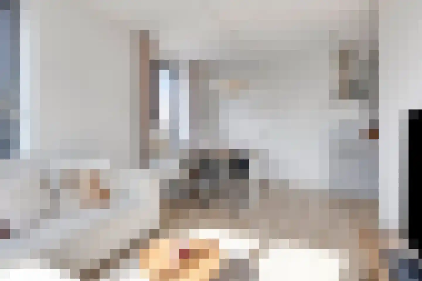 Atelierstraat 194 Tilburg thumbnail 10