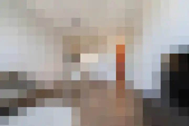 Atelierstraat 200 Tilburg thumbnail 18