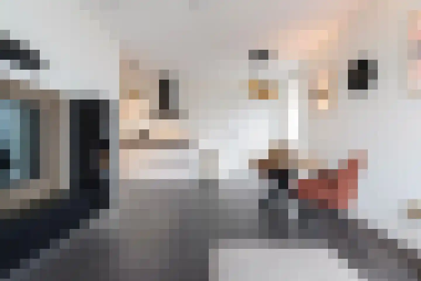 Atelierstraat 268 Tilburg thumbnail 23