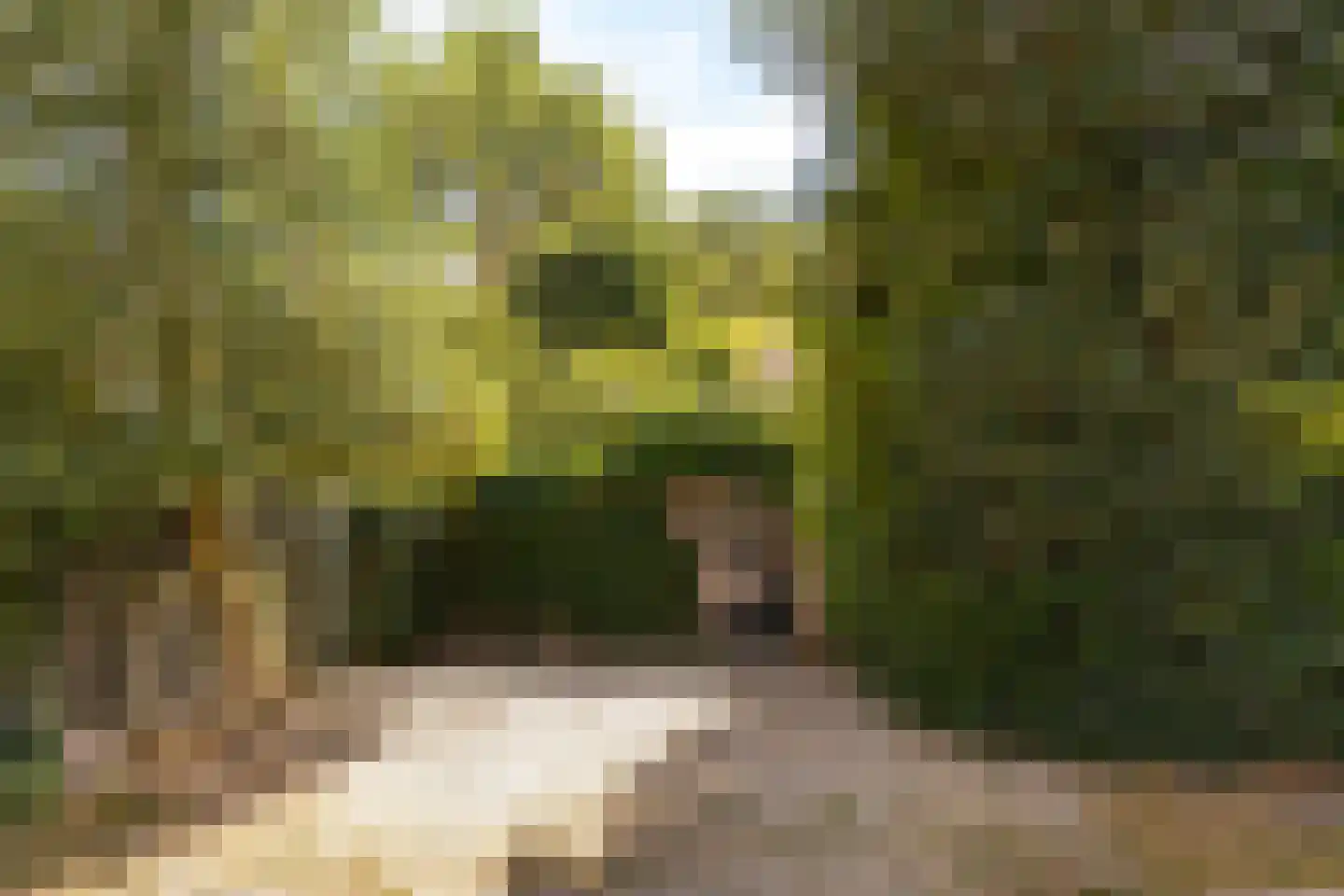 Atelierweg 3 Blaricum thumbnail 17