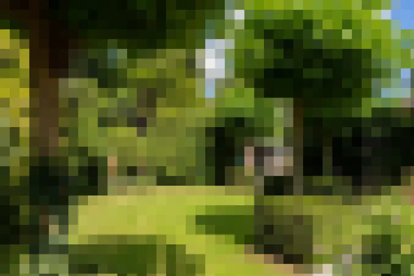 Atelierweg 3 Blaricum thumbnail 22