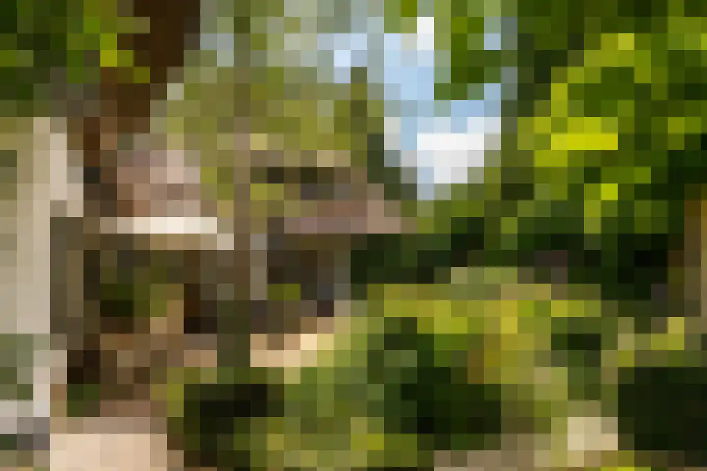 Atelierweg 3 Blaricum thumbnail 23
