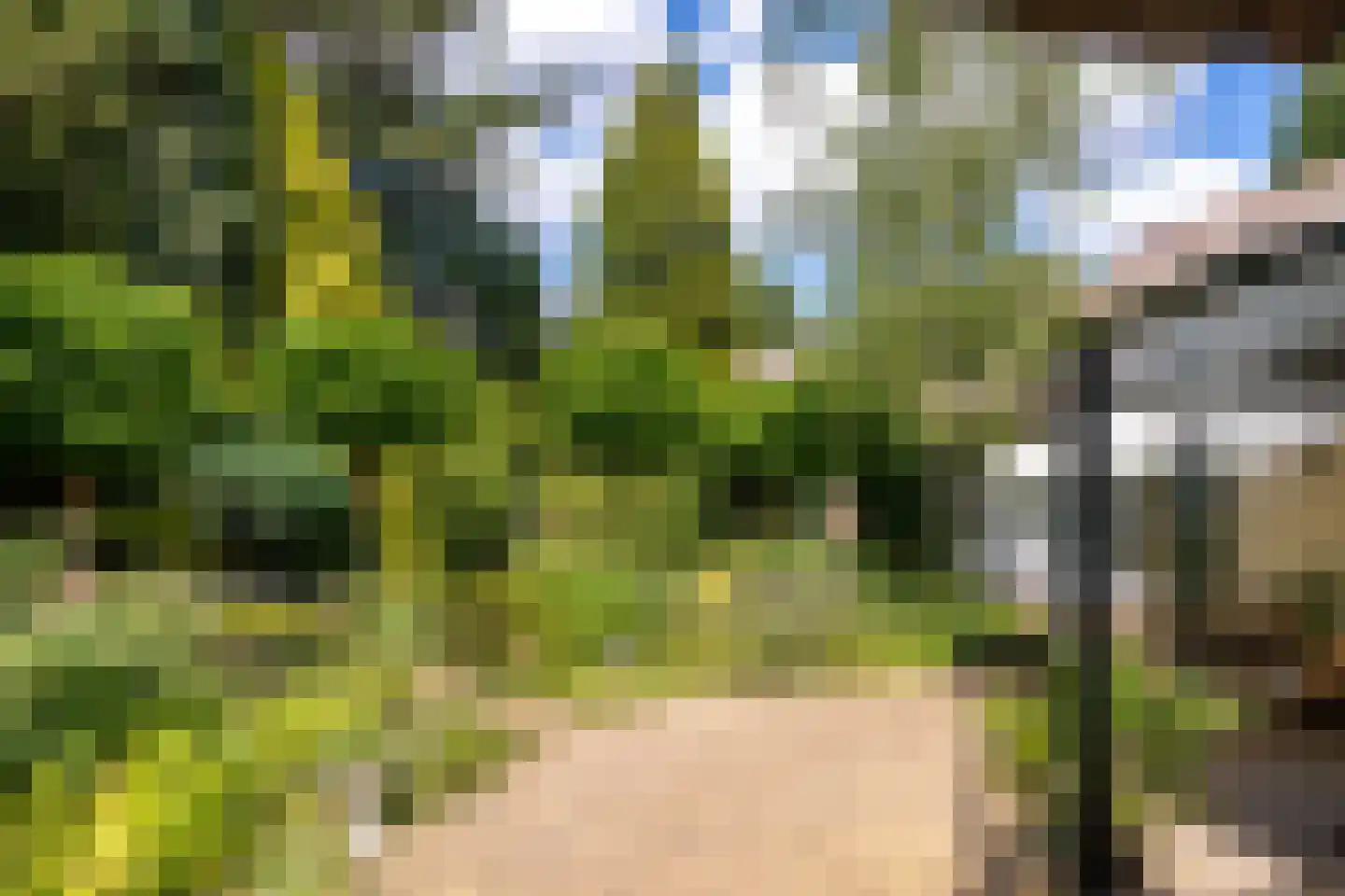 Atelierweg 3 Blaricum thumbnail 25