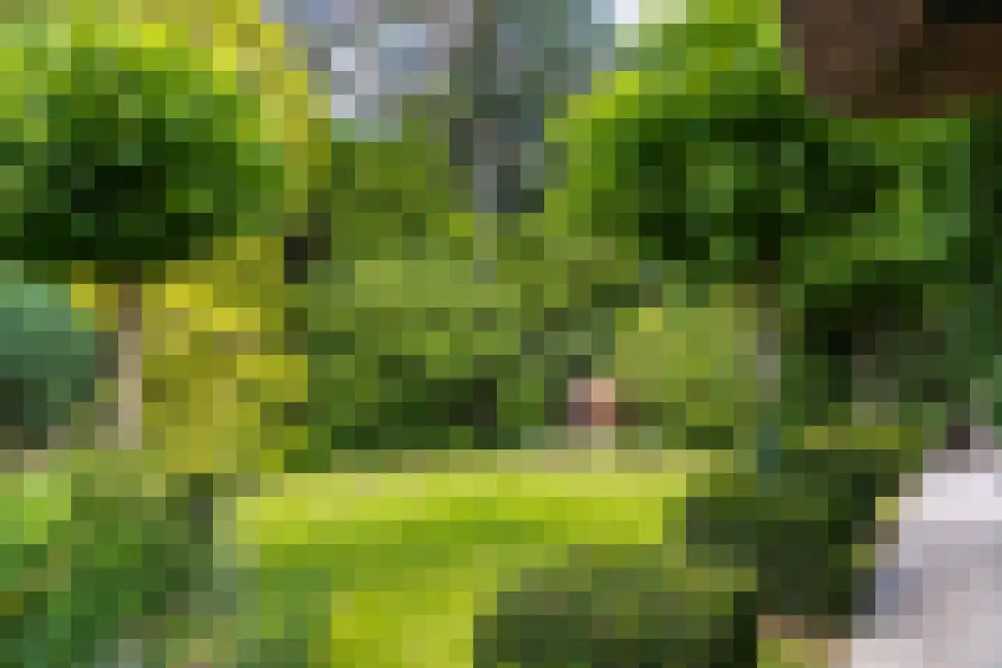 Atelierweg 3 Blaricum thumbnail 4