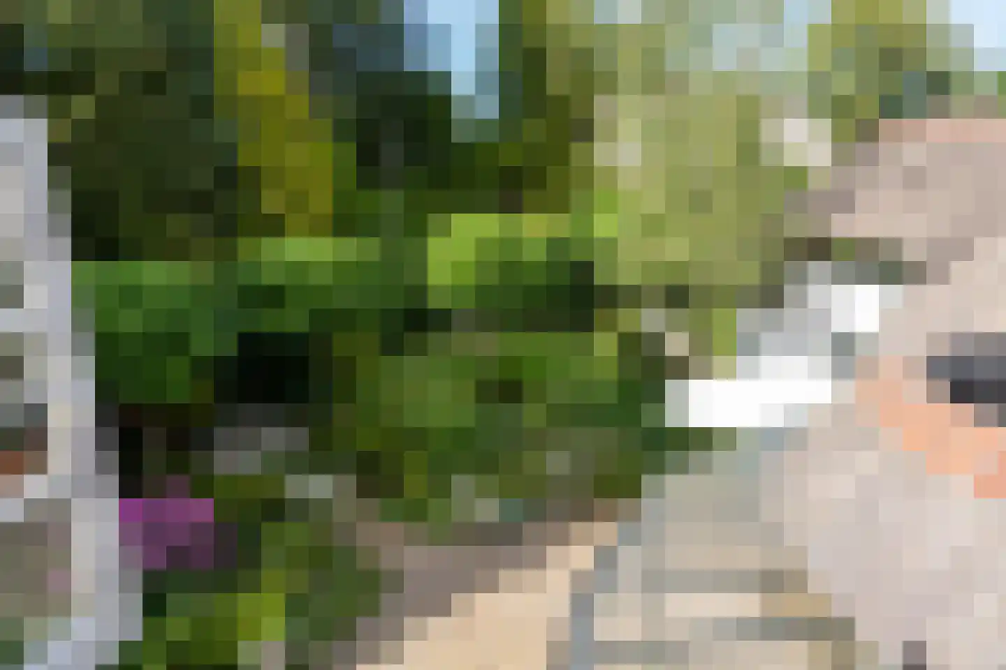 Atelierweg 3 Blaricum thumbnail 47