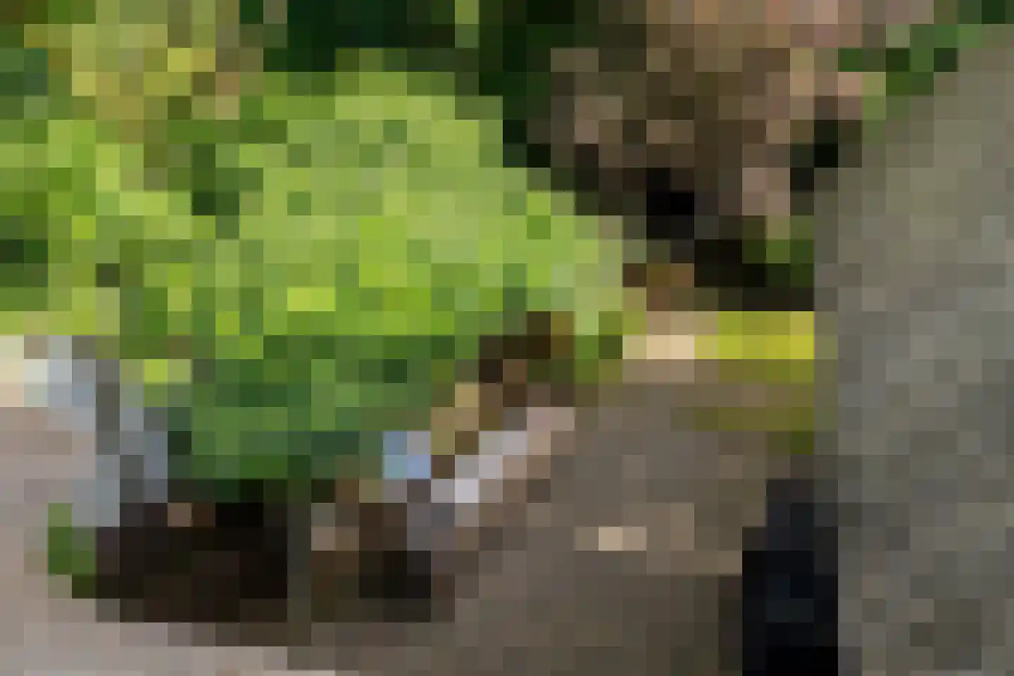 Atelierweg 3 Blaricum thumbnail 48