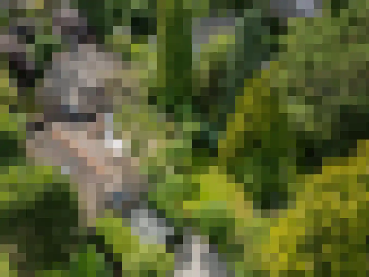 Atelierweg 3 Blaricum thumbnail 5