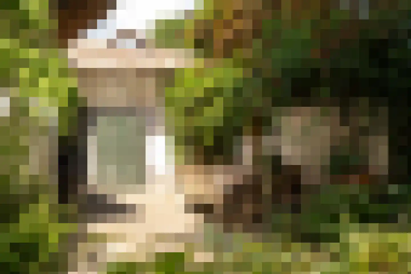 Atelierweg 3 Blaricum thumbnail 56