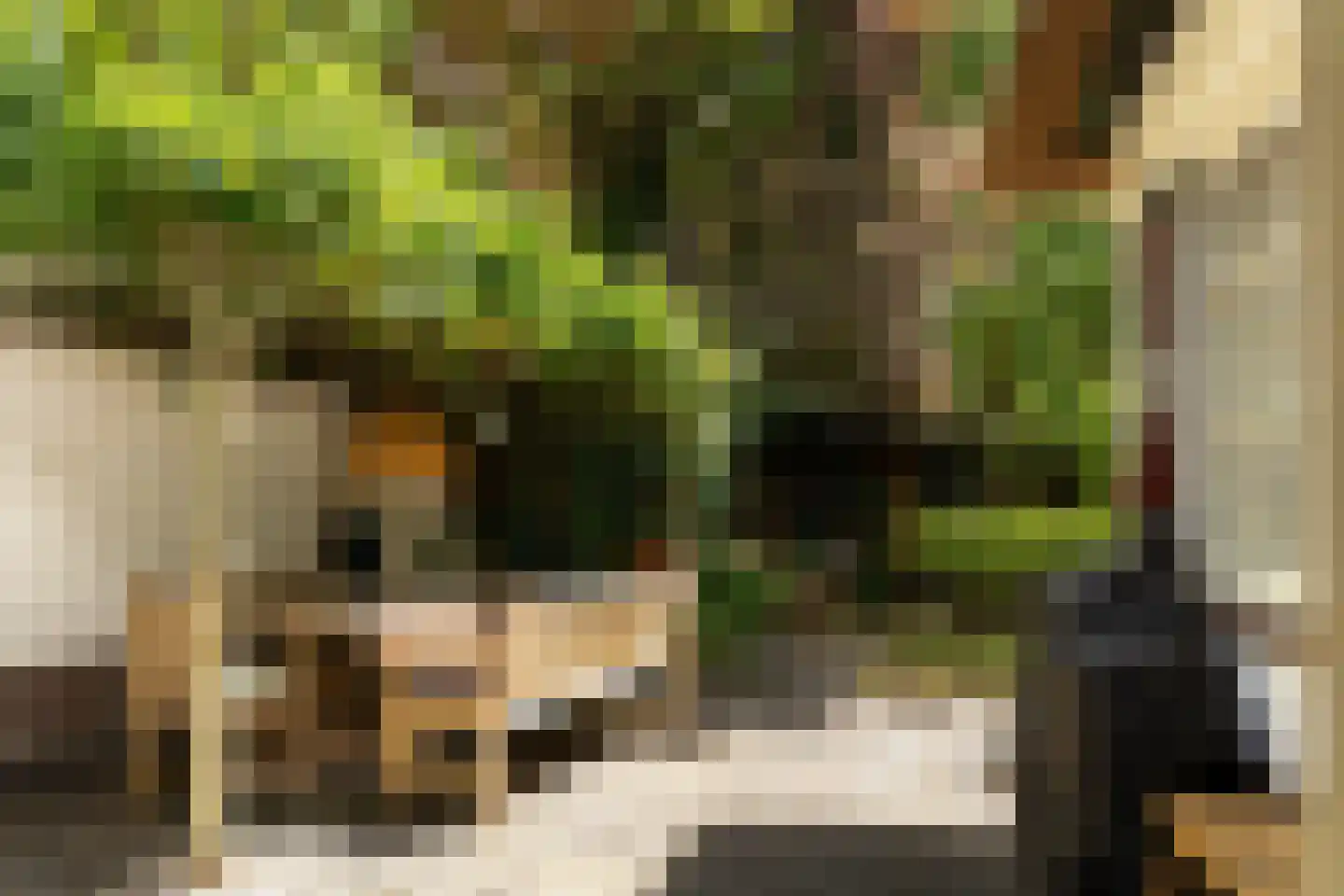 Atelierweg 3 Blaricum thumbnail 58