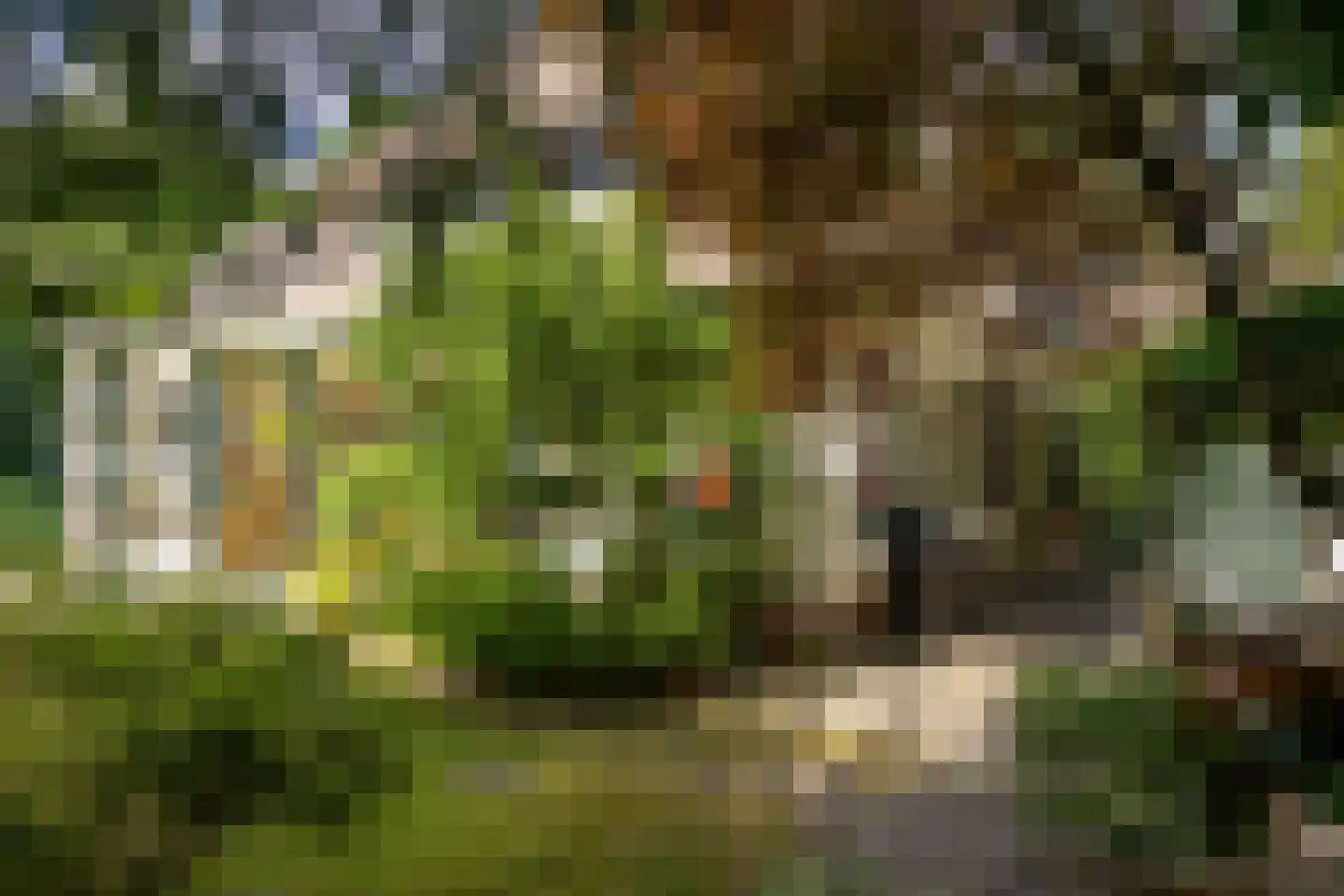 Atelierweg 3 Blaricum thumbnail 68